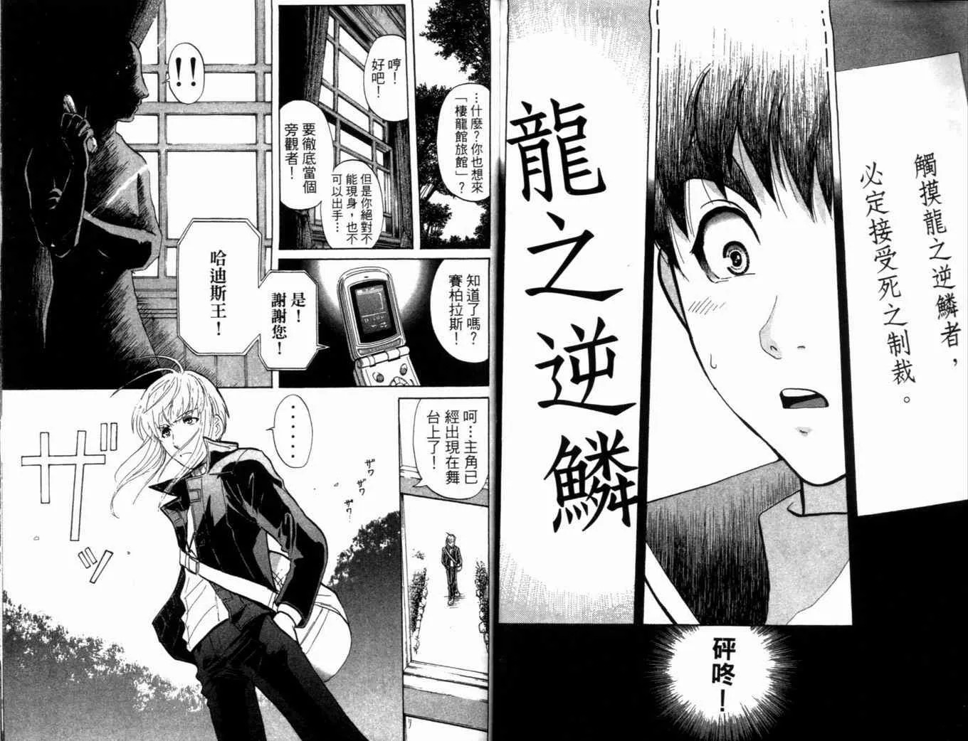 第20卷 第87页