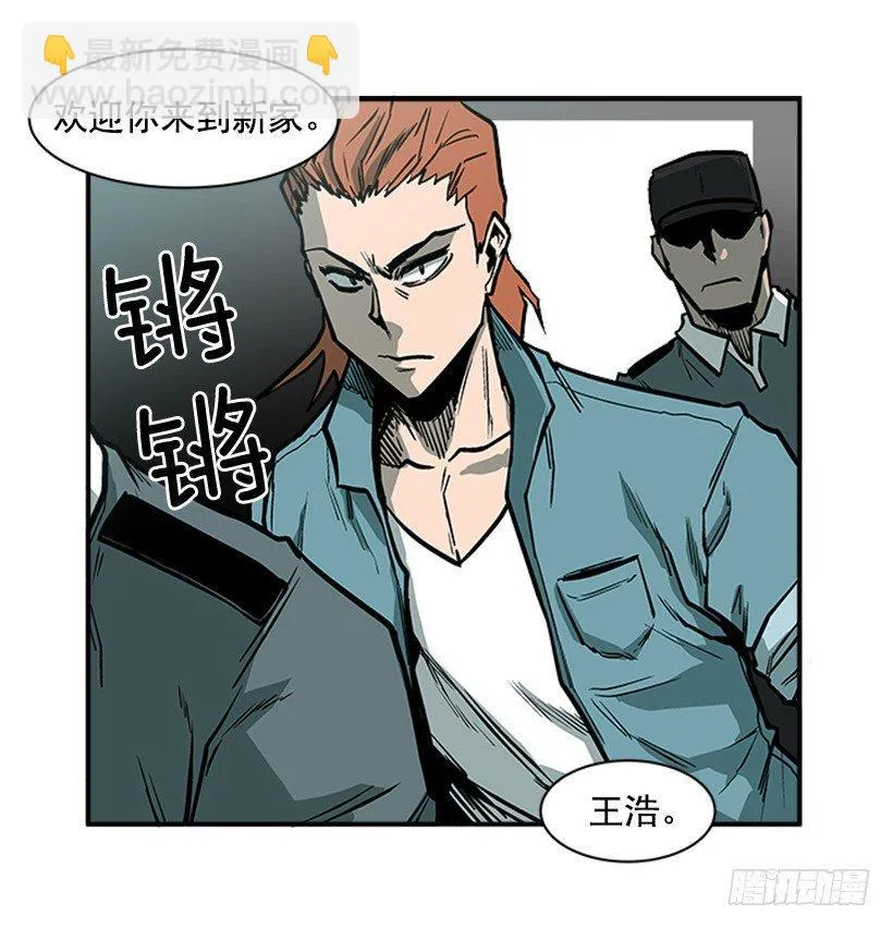 16.新人 第10页