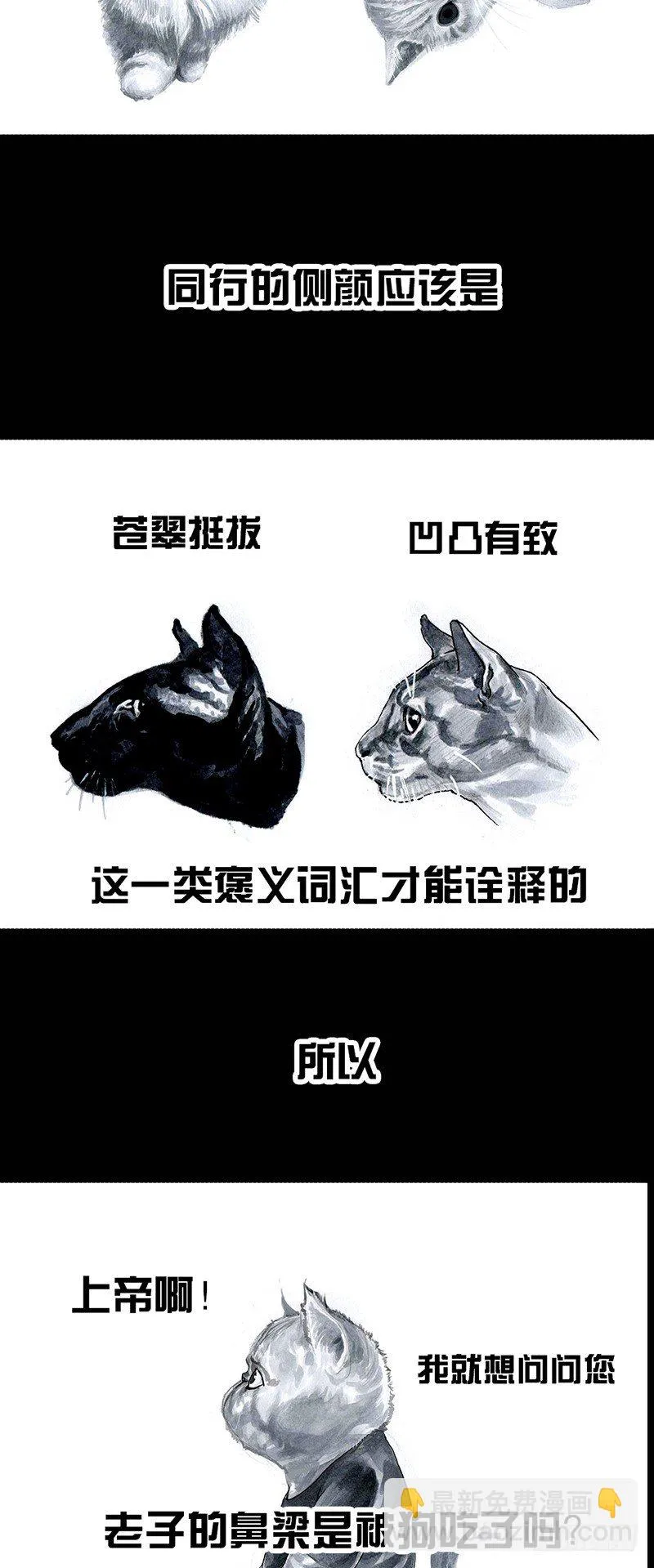 养虎为患 第10页