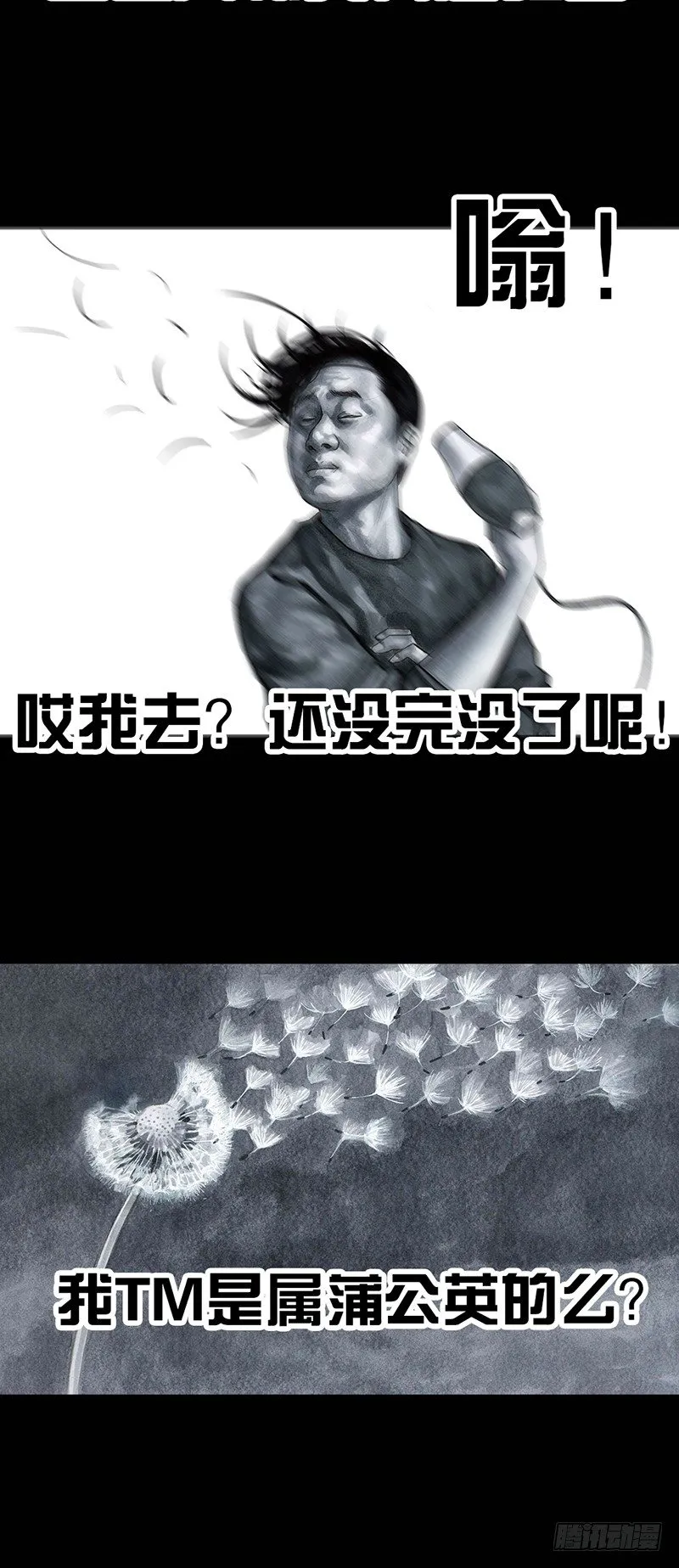 秃如其来 第11页