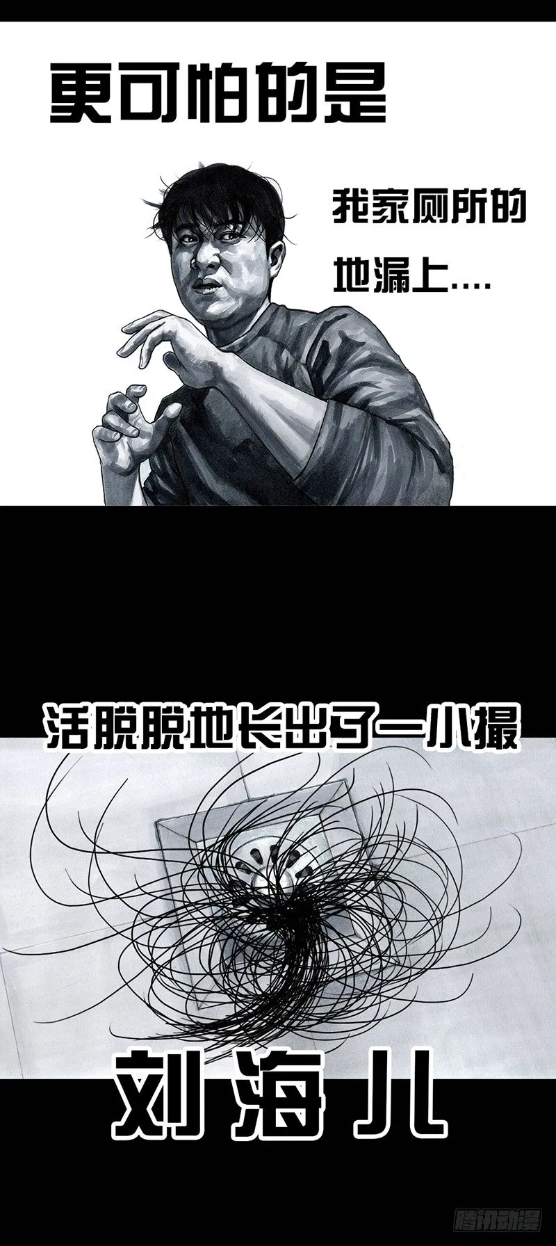 秃如其来 第12页