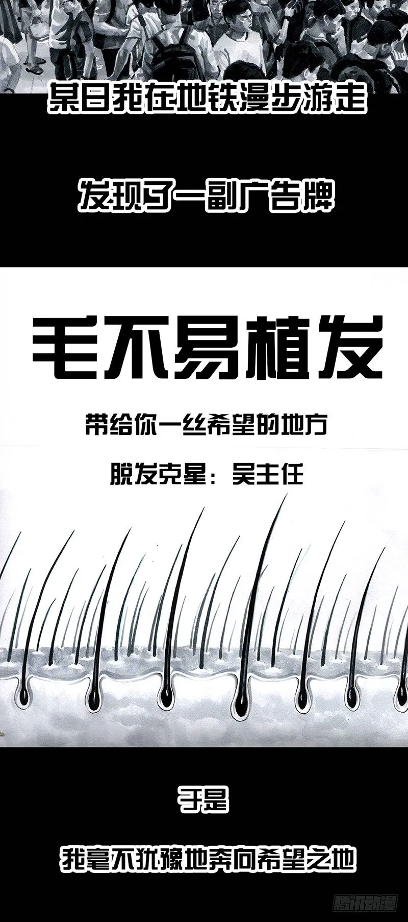 秃如其来 第31页