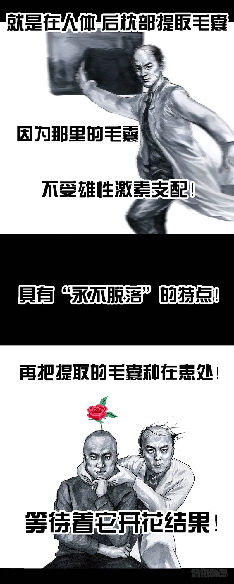 秃如其来 第46页