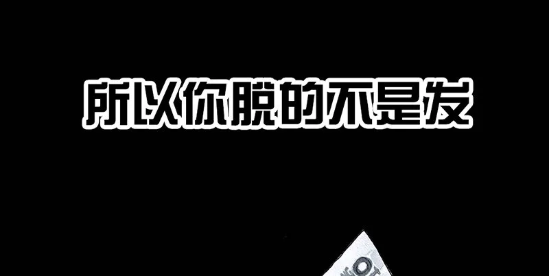 秃如其来 第51页