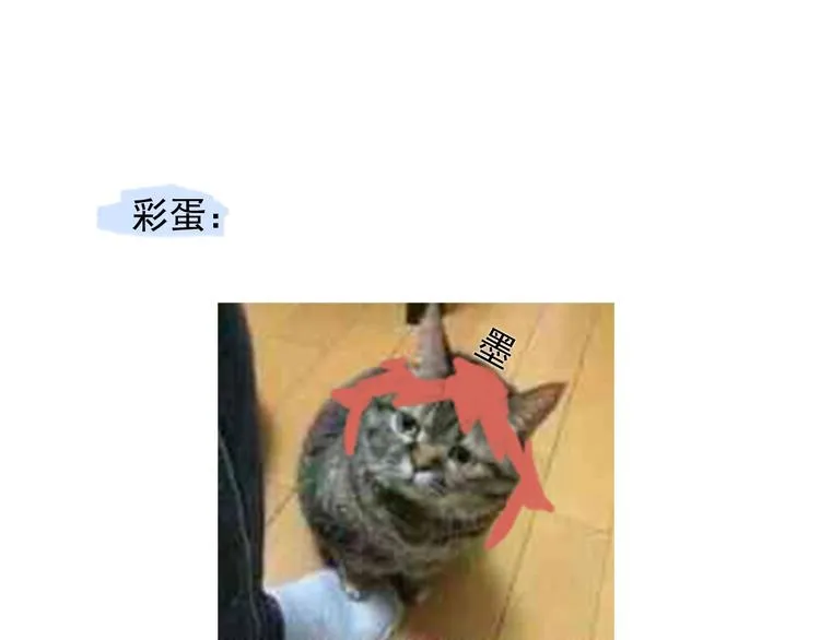 第62话 你喜欢她？ 第103页