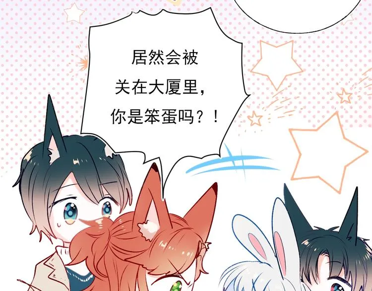 第一季完结 最后的选择 第4页