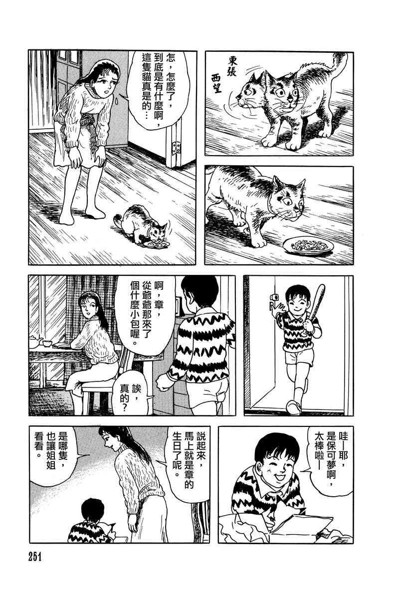 28话 第5页