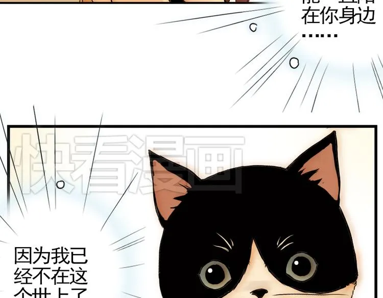 第4话 猫之念（四） 第39页