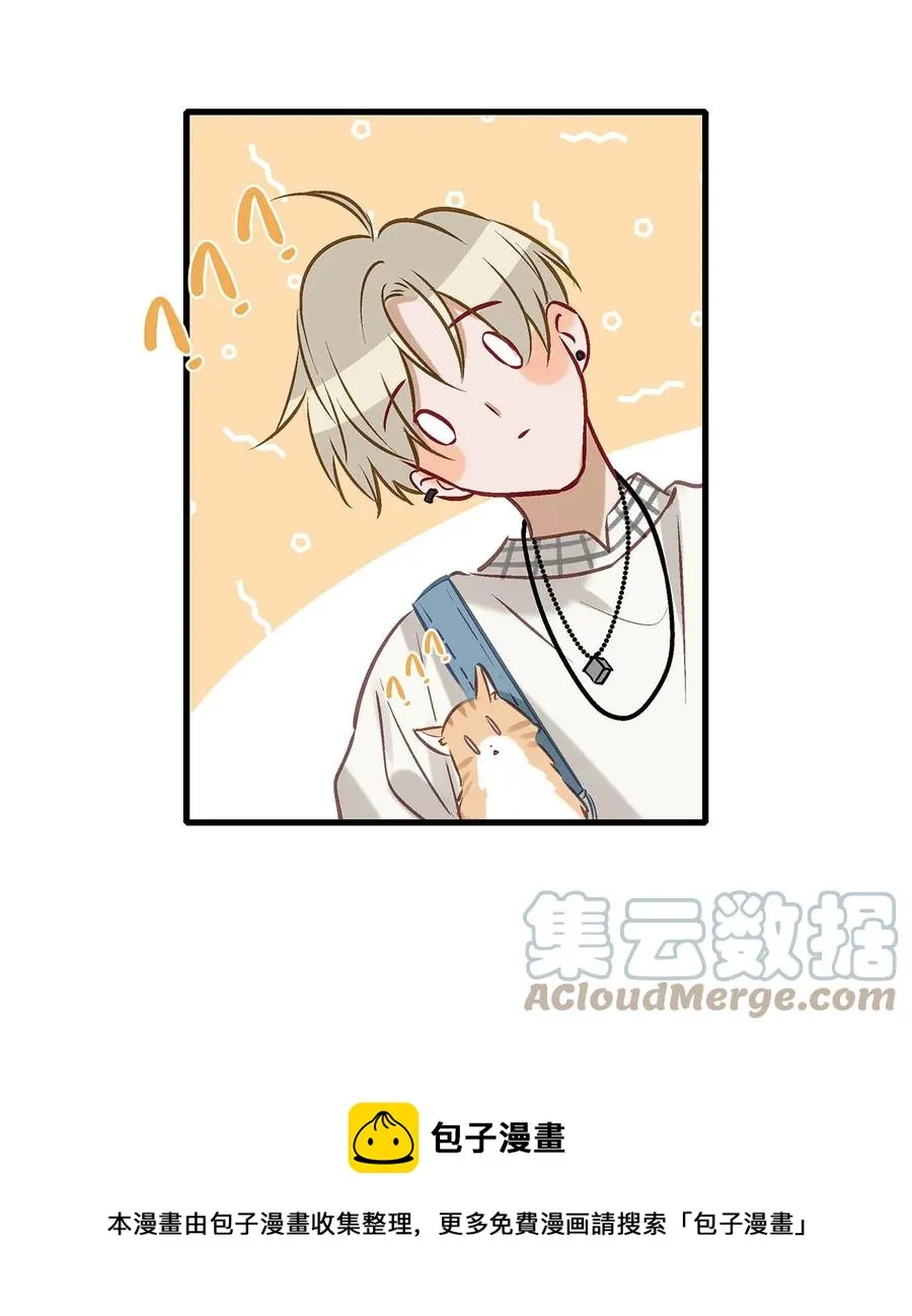 054 我的威廉。 第37页