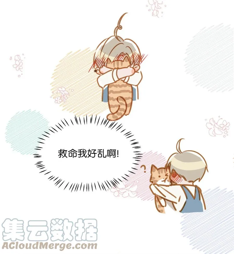 053 我有依了，顾依凉的依。 第11页