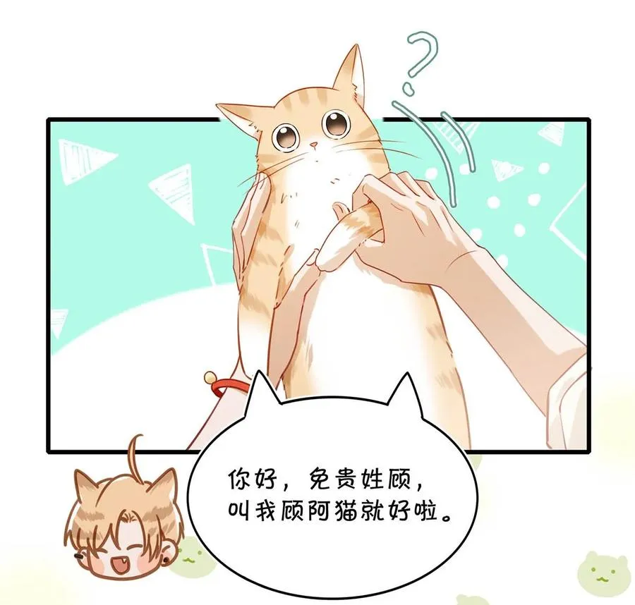 053 我有依了，顾依凉的依。 第20页