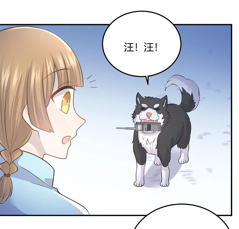 我亲爱的sweet girl 第2页