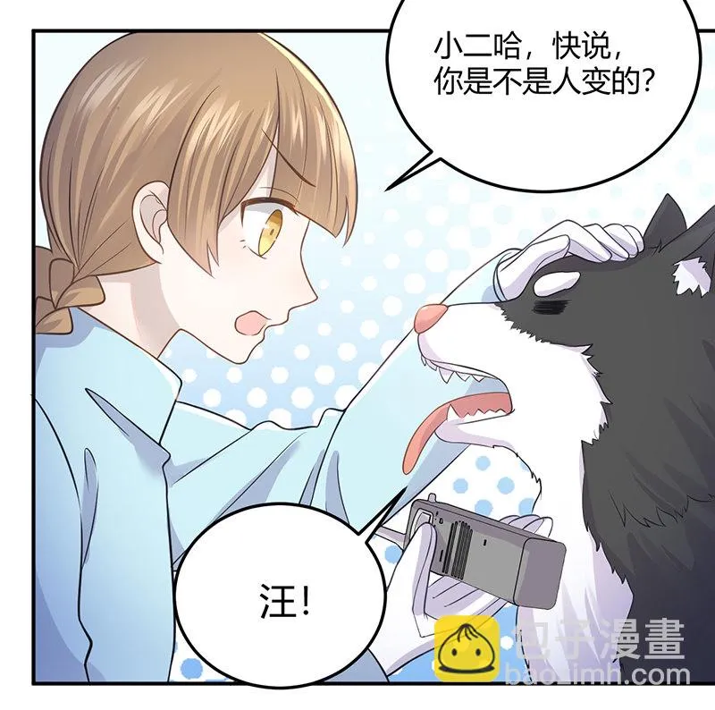 我亲爱的sweet girl 第3页