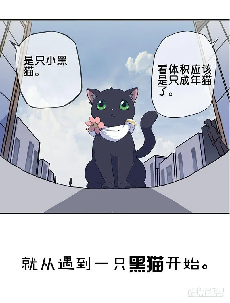 预告 第6页