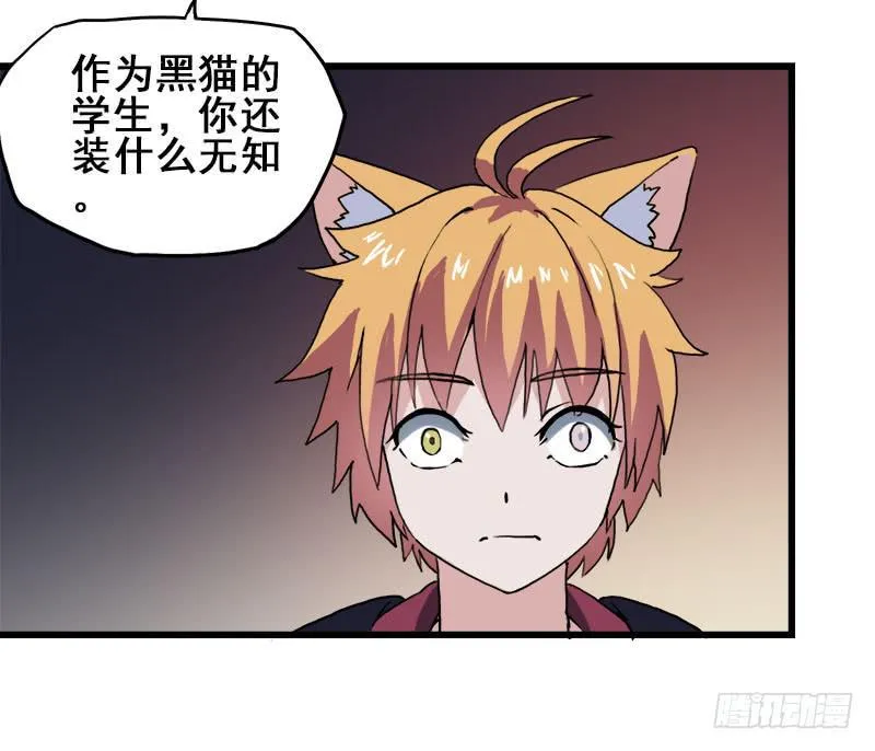 12.魔法师王的力量 第16页
