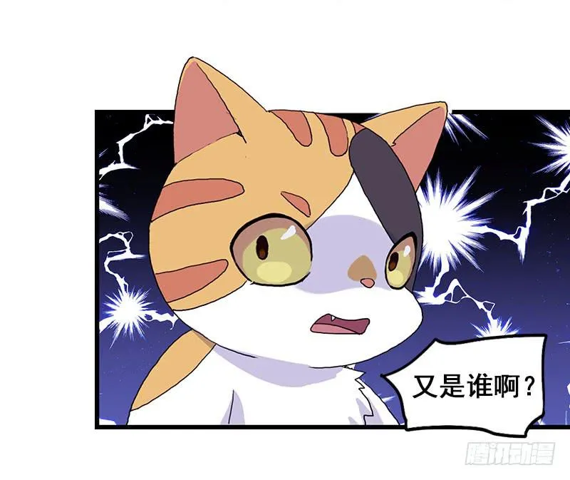 13.猫老大 第35页