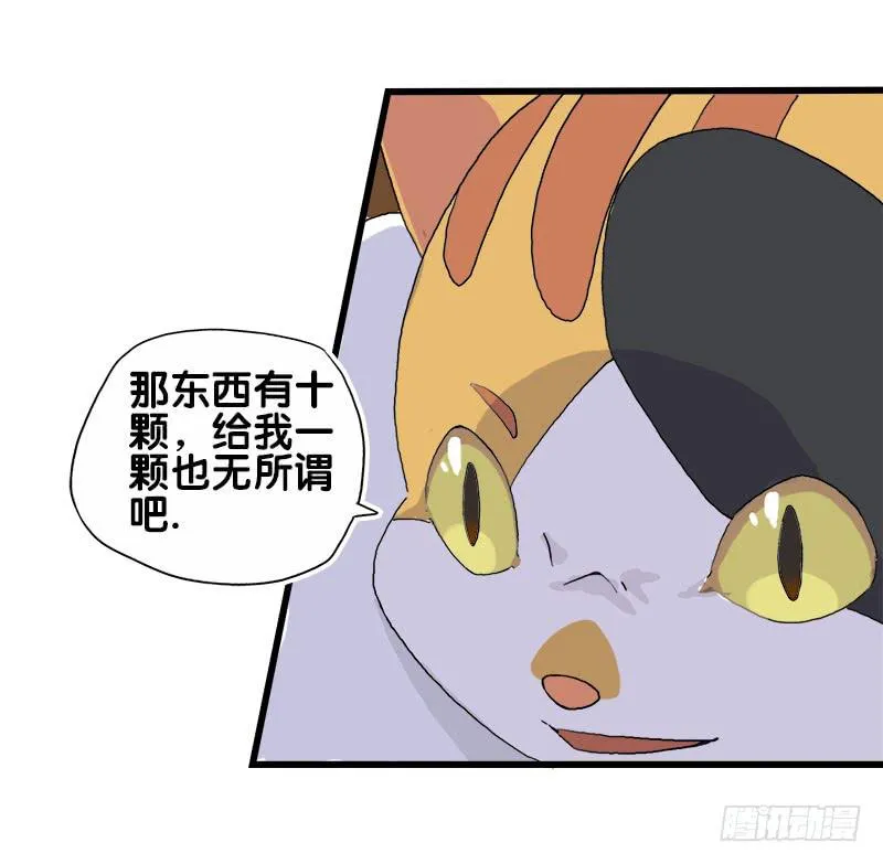 14.我非常讨厌魔法师 第5页