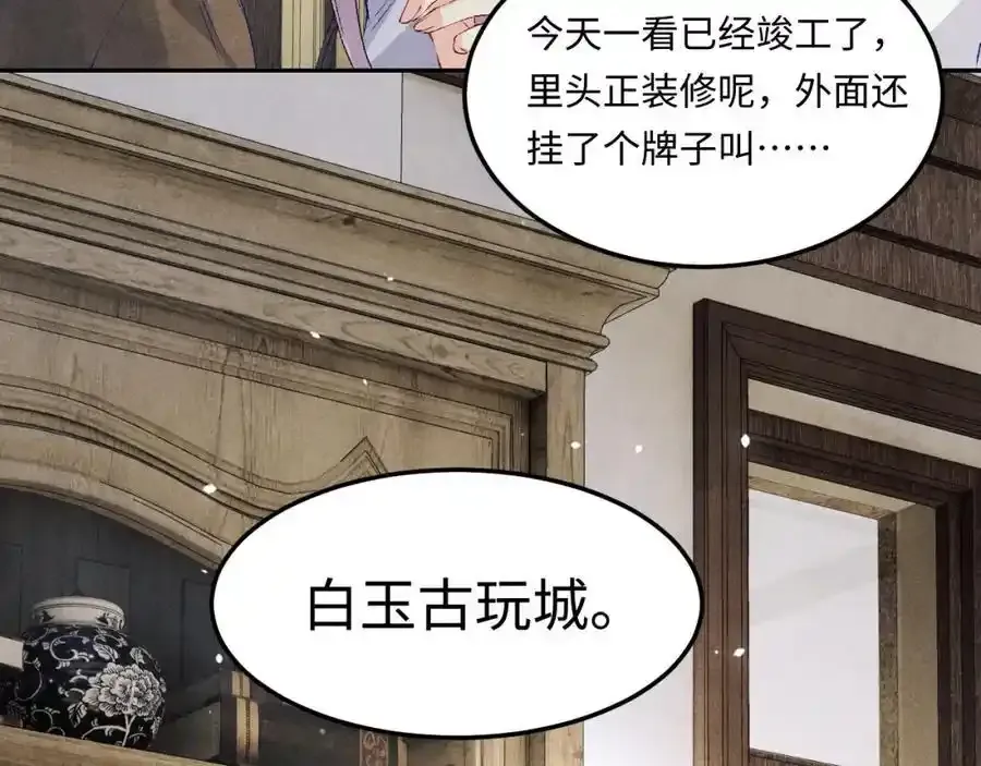 第196话 古玩城的老板姓丁 第14页