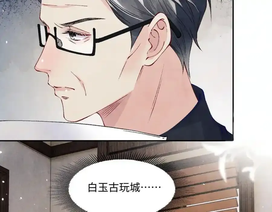 第196话 古玩城的老板姓丁 第33页