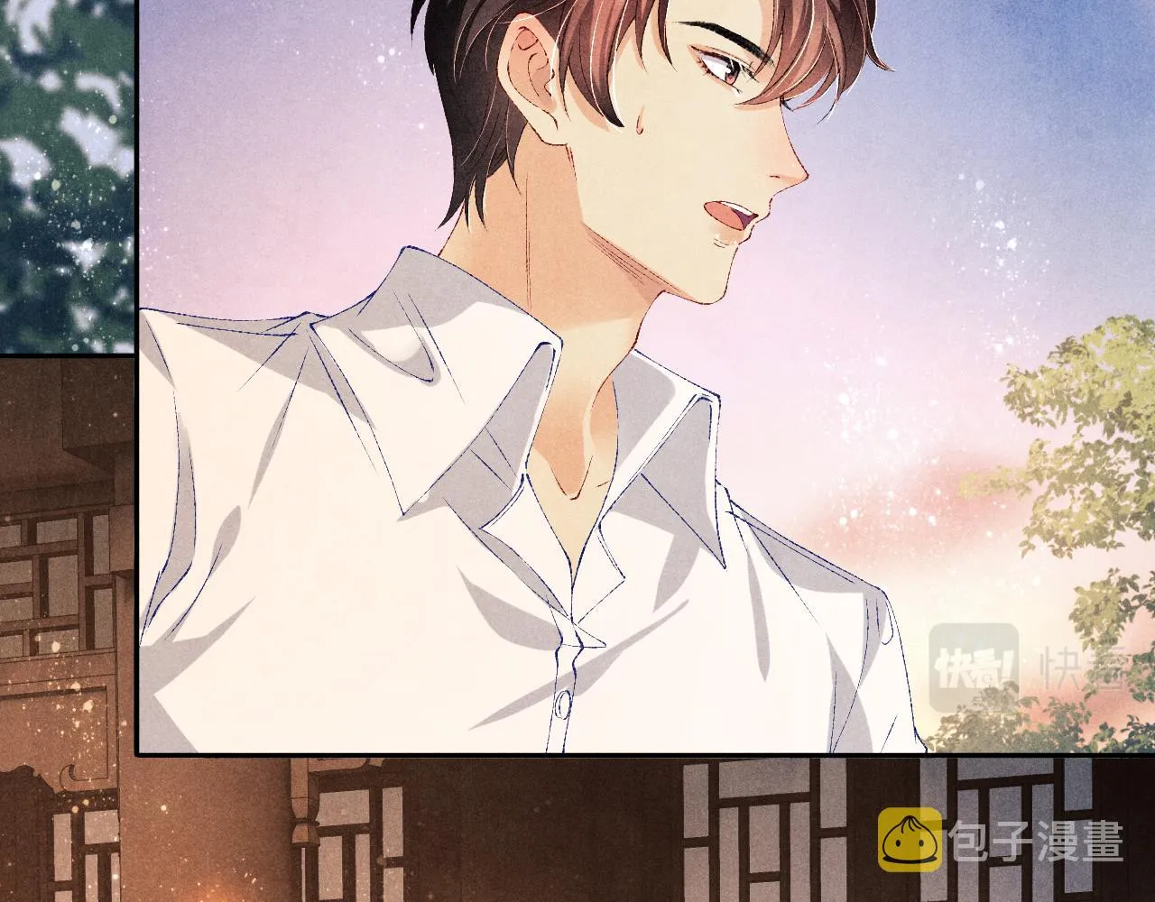 第66话 一园玫瑰换一枚印章 第12页