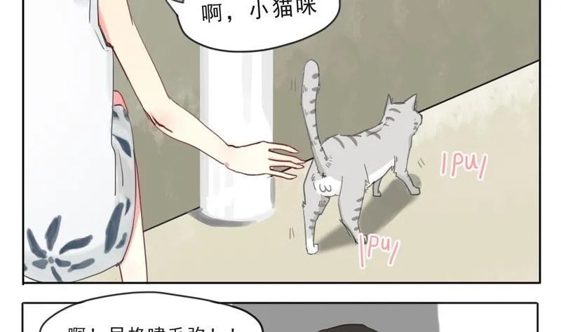 第07话 喵喵喵喵喵喵喵 第4页