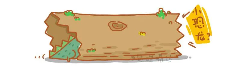 5 第4页