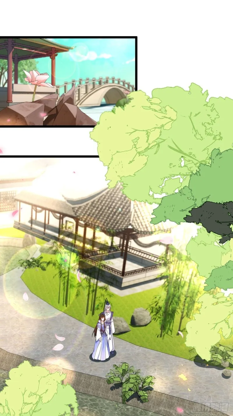 218：仟芊回来了 第3页