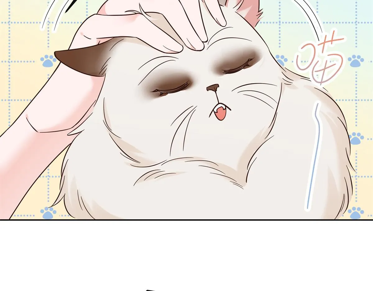305 是我男朋友 第18页