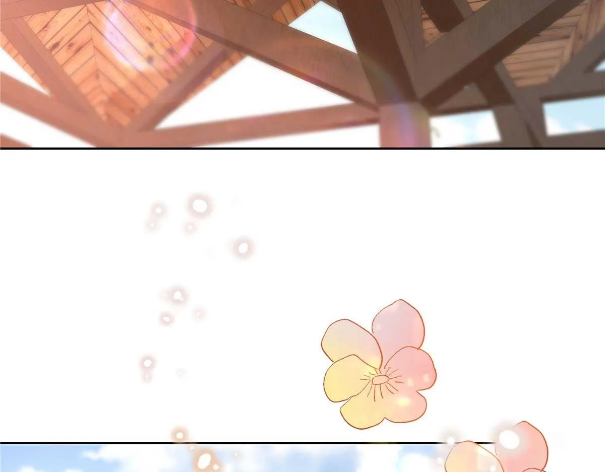 323 我主动就好 第16页