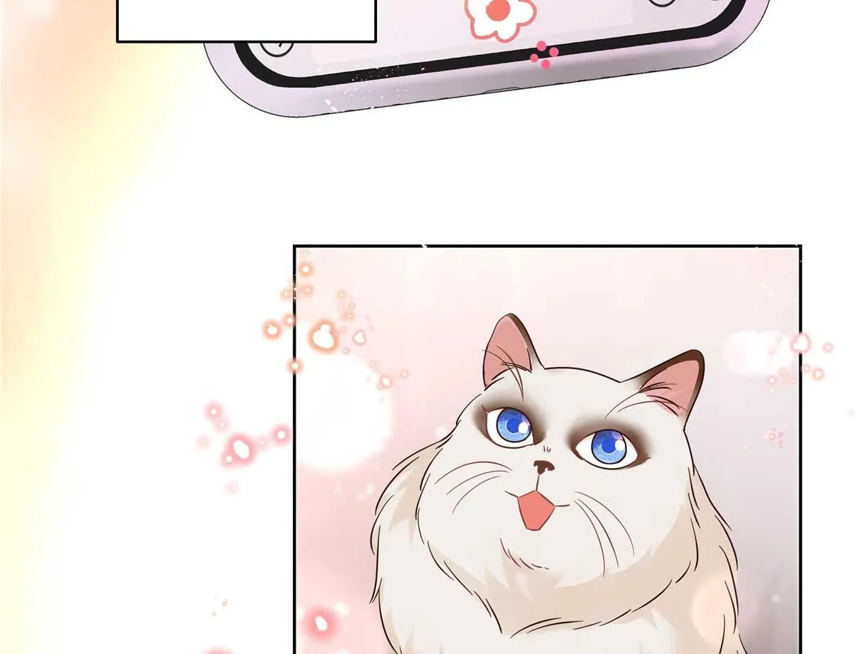 334 这女孩好眼熟啊 第47页