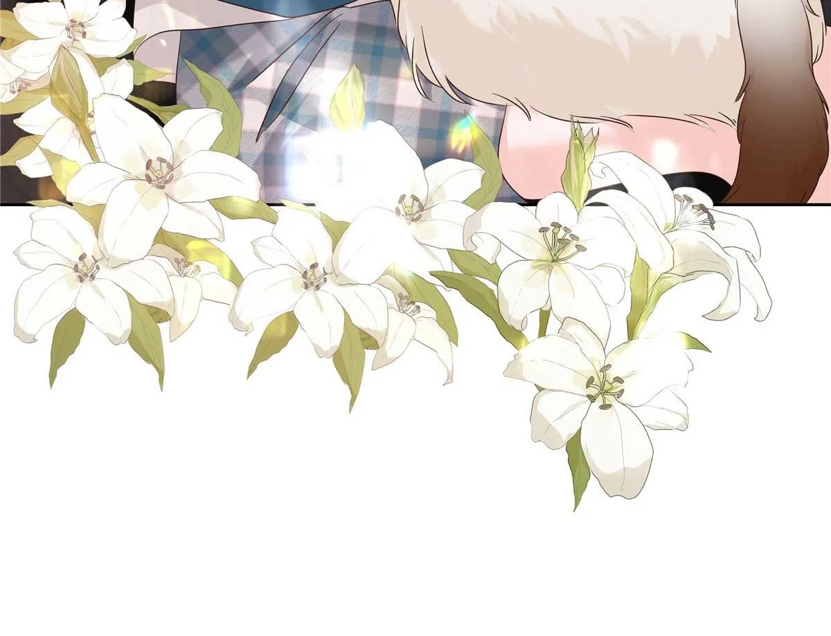 334 这女孩好眼熟啊 第51页
