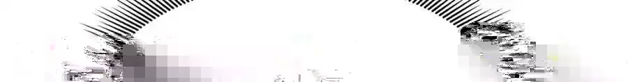 367 我会输 第86页