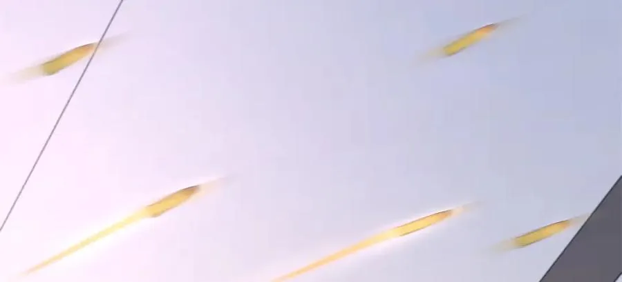 487 发起攻击 第75页