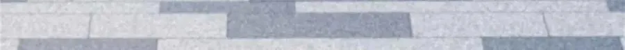 507 就凭你，也想模仿她？ 第21页