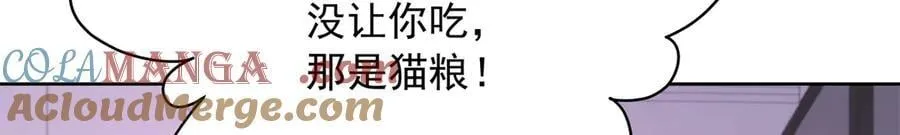 517 求婚准备！ 第41页