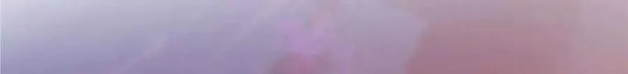 526 婚礼 第84页
