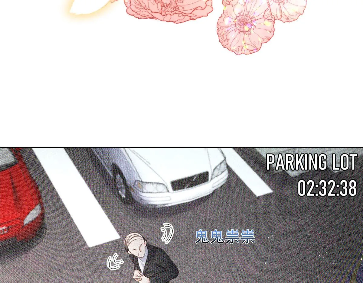275 不要告诉秦——嘎？ 第84页