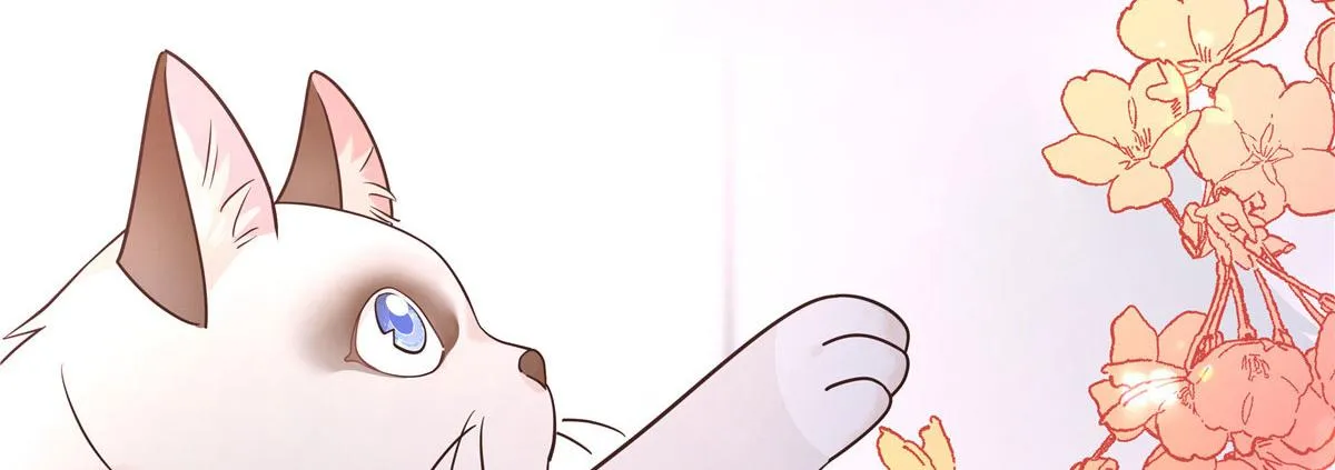 296 睡服秦漠还是得靠…… 第73页
