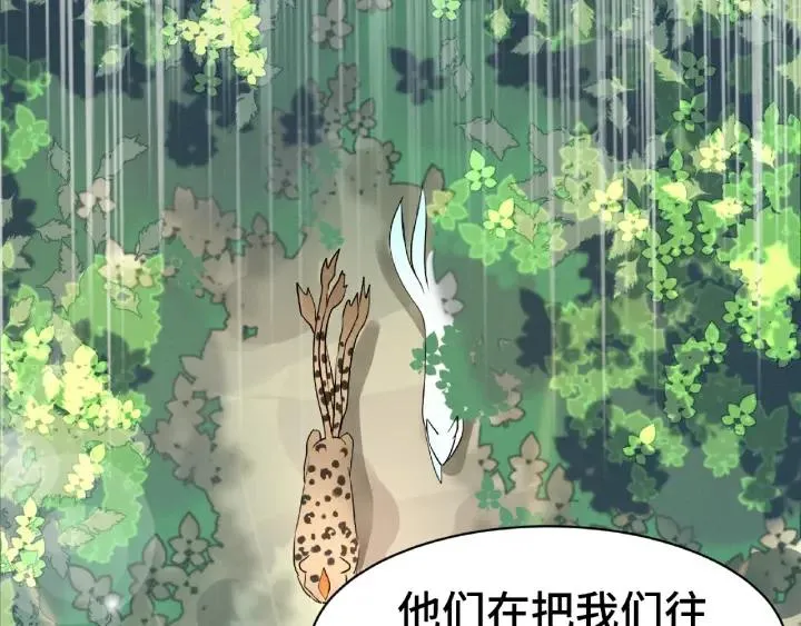 61话 包围圈（上） 第19页