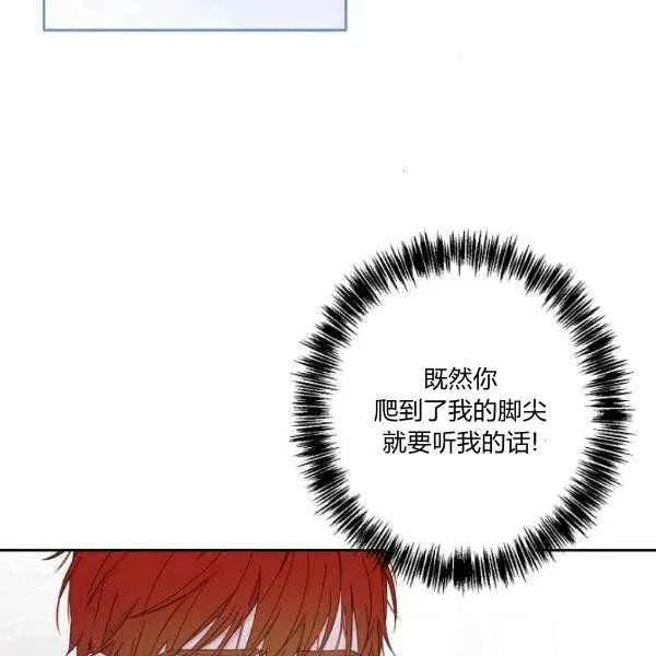 第41话 第46页