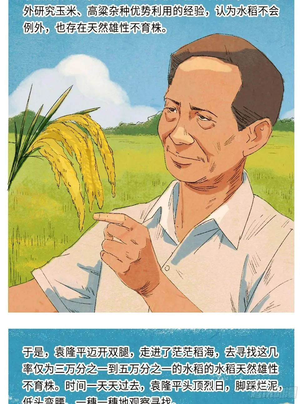 最美奋斗者-袁隆平 第8页