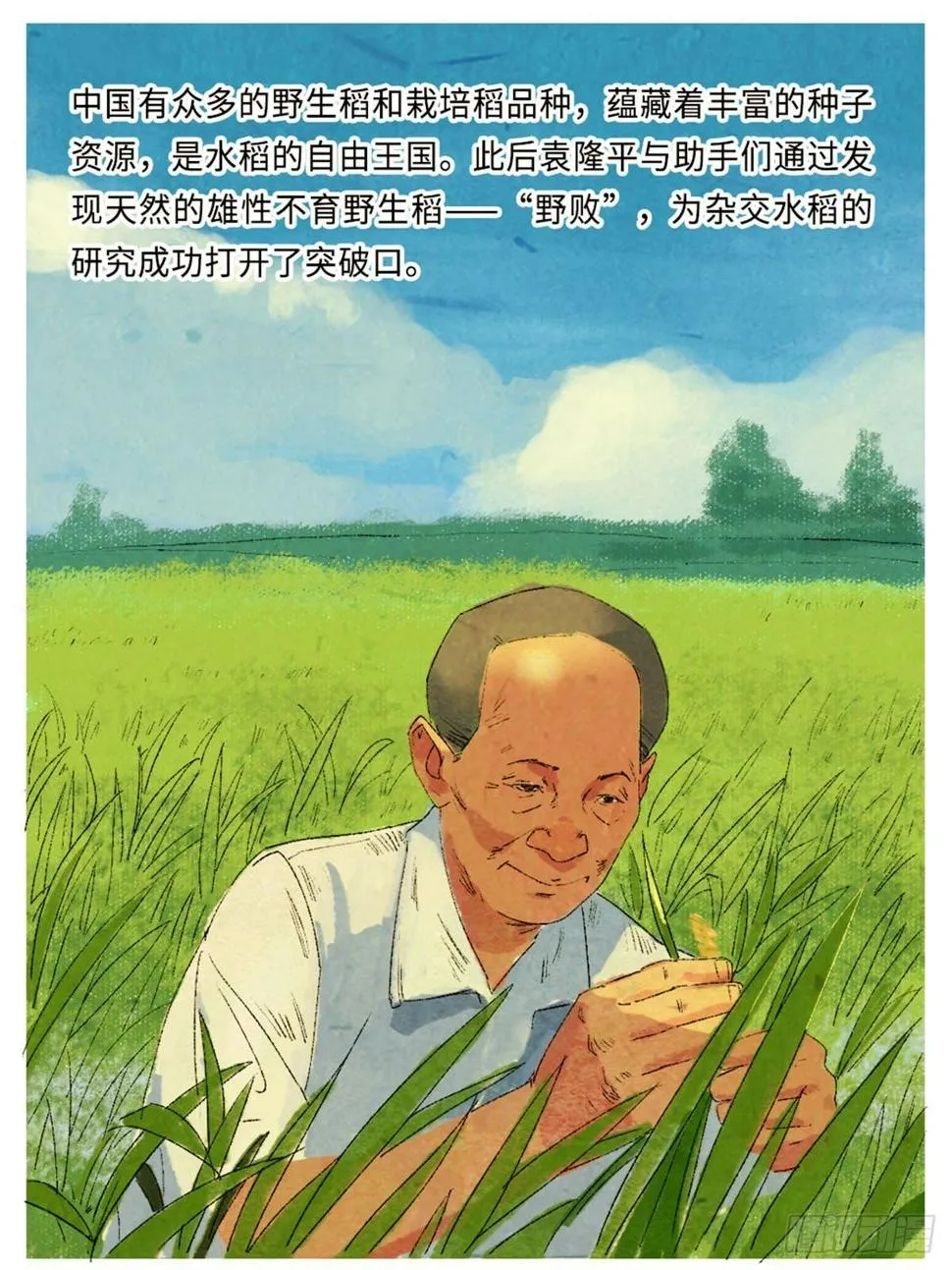 最美奋斗者-袁隆平 第13页