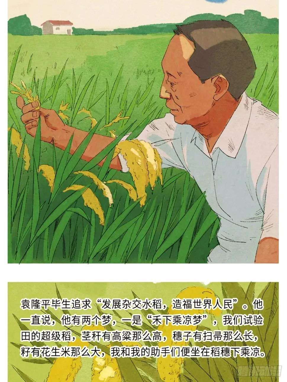 最美奋斗者-袁隆平 第16页
