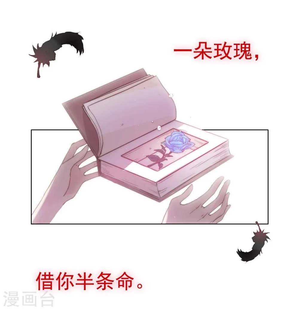 预告 第13页