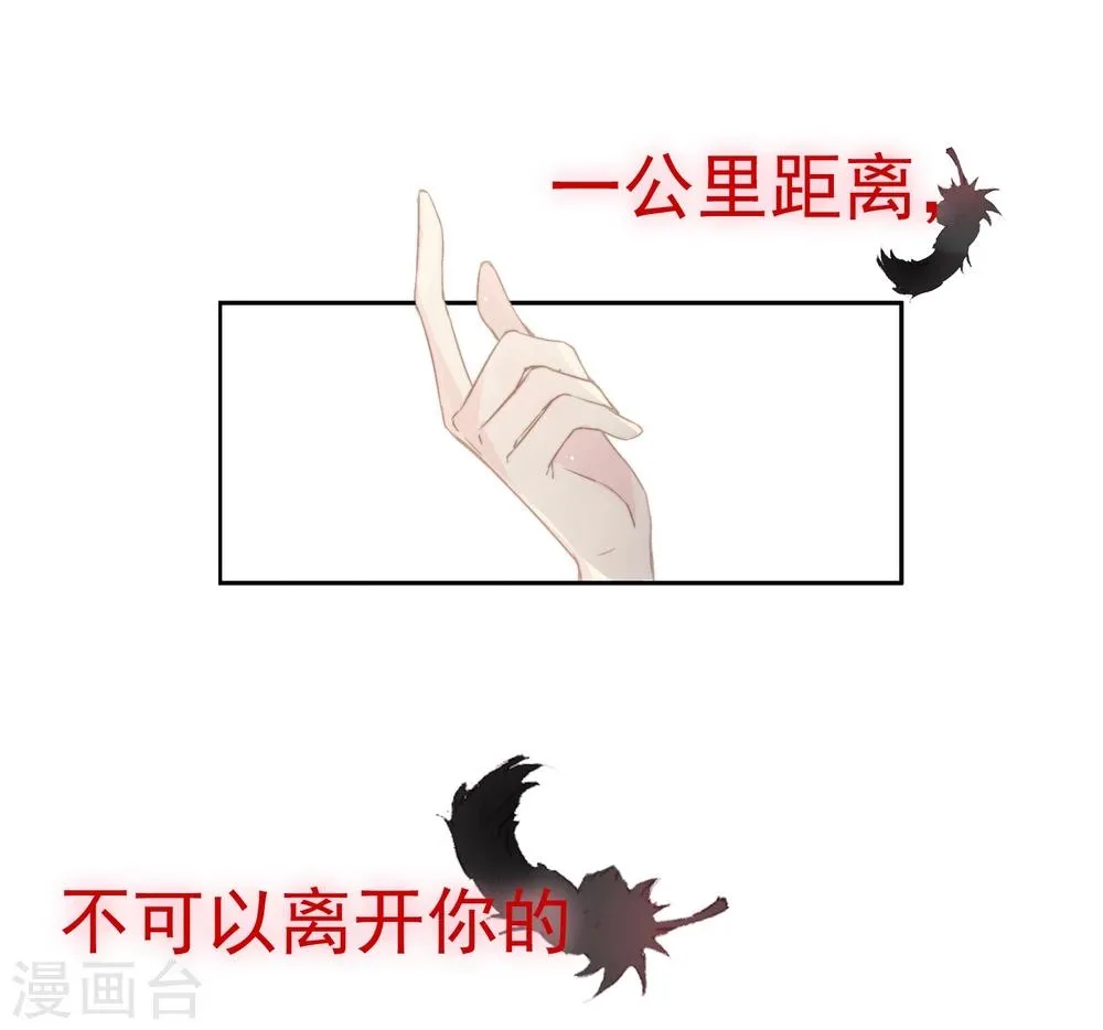 预告 第15页