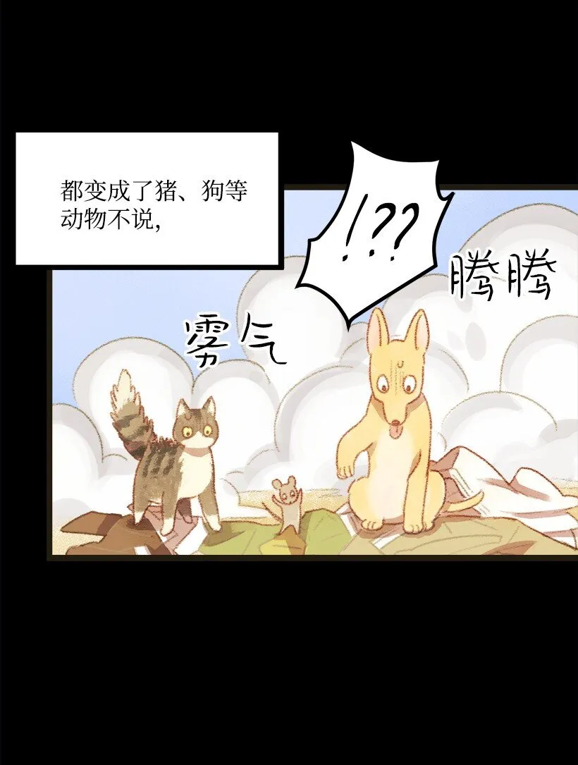 01 不幸的生日 第11页