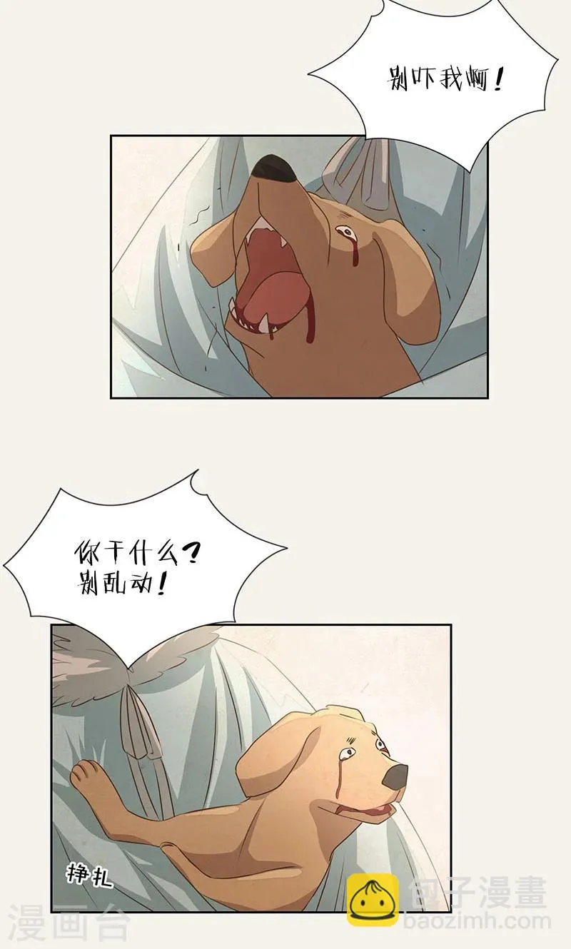 第26话 第8页