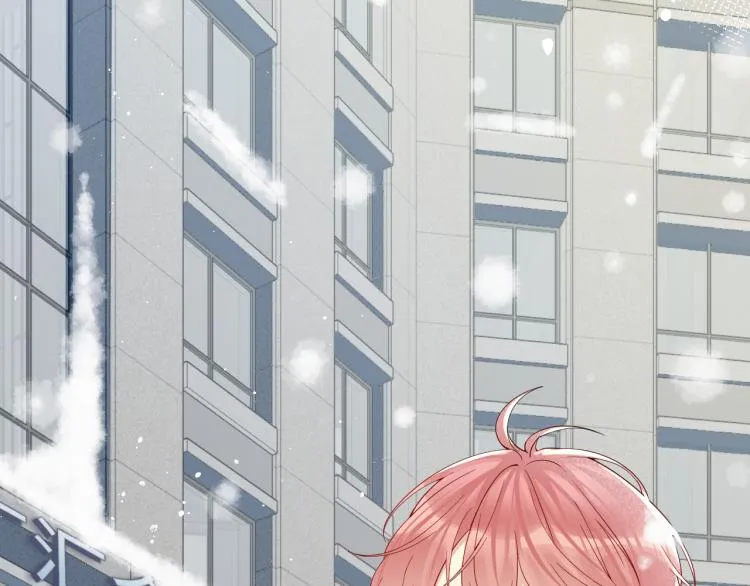 第8话 大雪中的小猫咪 第25页