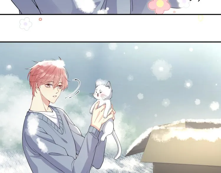 第8话 大雪中的小猫咪 第50页