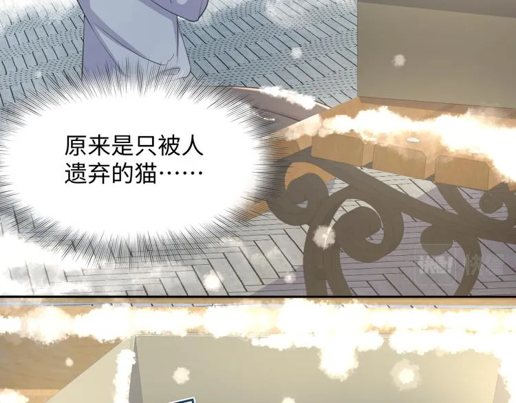 第8话 大雪中的小猫咪 第51页